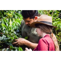 Café d'Ethiopie Décaféiné