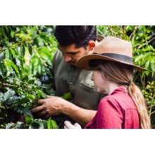 Café d'Ethiopie Décaféiné